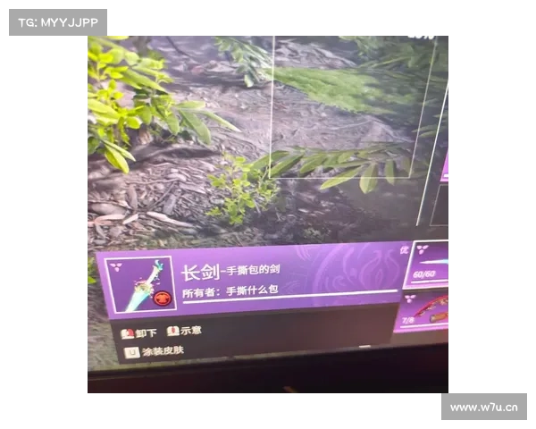 紫光闪耀：反恐精英饕餮单机，掌握紫色武器技能